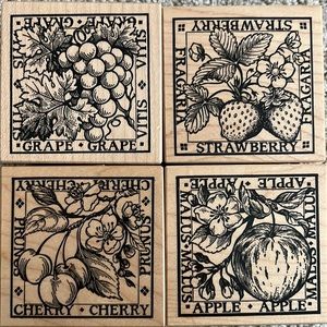 Lot of 3 beautiful PSX 3”, square fruit stamps